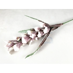 Habvirág, kardvirág, 95cm, lila árnyalatos