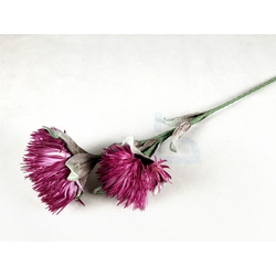 Habvirág, protea, 95cm - lila-rózsaszín árnyalatos