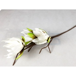 Habvirág, tavirózsa, 100cm, fehér árnyalatos
