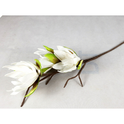 Habvirág, tavirózsa, 100cm, fehér árnyalatos
