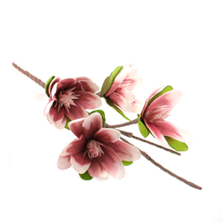 Habvirág, tavirózsa2, 95cm, rózsaszín árnyalatos