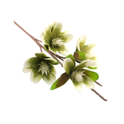 Habvirág, tavirózsa2, 95cm, zöld árnyalatos