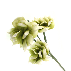 Habvirág, rózsa stílusú, 100cm, zöld árnyalatos