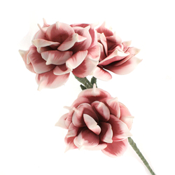 Habvirág, rózsa stílusú, 100cm, rózsaszín árnyalatos