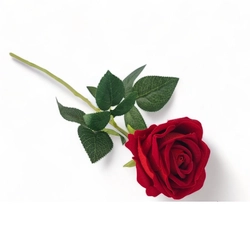 Rózsa szálas, vörös, 47cm