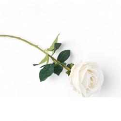 Rózsa szálas, fehér, 47cm