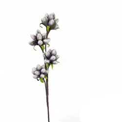 Habvirág, magnólia bimbók, lila árnyalatos, 85cm