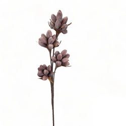 Habvirág, magnólia bimbók, rozsdabarna árnyalatos, 85cm