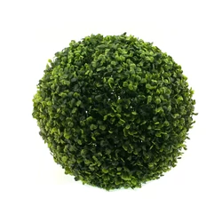 Buxus labda, 35cm
