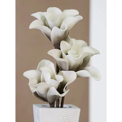 Habvirág, Rumba, 43cm, szürke árnyalatos 