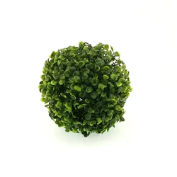 Buxus labda, 18cm