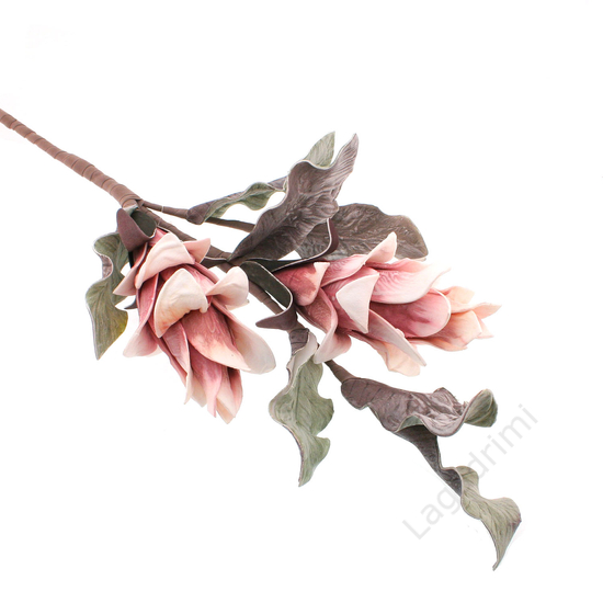 Habvirág, tobozvirág, 100cm, rózsaszín árnyalatos