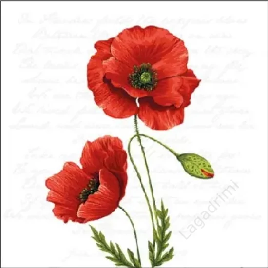 Ambiente papírszalvéta 20db, 25x25cm, Proud Poppy