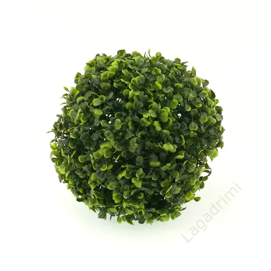 Buxus labda, 22cm