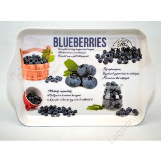 Műanyag tálca, 21x14cm - Blueberries