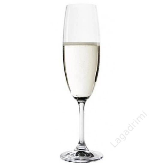 Martina pezsgős kristálypohár szett 22cl, 6db