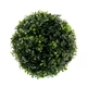 Buxus labda műnövény, 17cm
