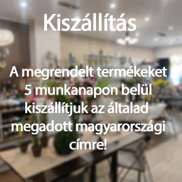 Házhoz vagy Posta pont szállítás az MPL-el